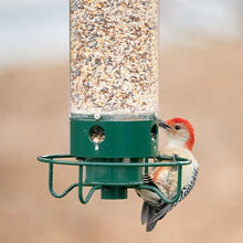 Load image into Gallery viewer, 2024 Summer New Arrival 🔥100% Squirrel Resistant Bird Feeder
