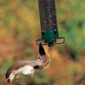 2024 Summer New Arrival 🔥100% Squirrel Resistant Bird Feeder