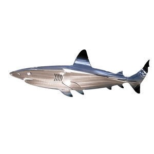 SheremArt Metal Shark Art